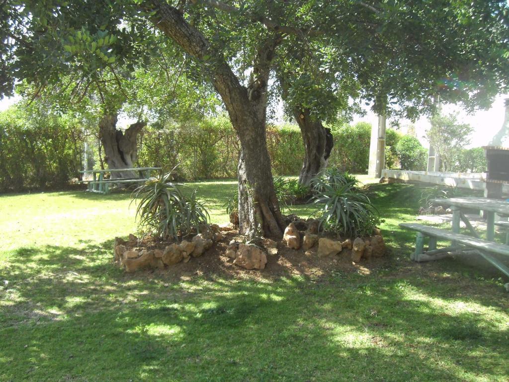 Tavira Gardenアパートメント エクステリア 写真